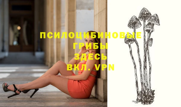 apvp Алзамай