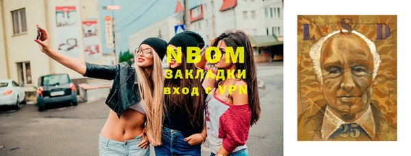apvp Алзамай