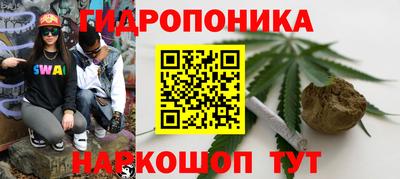 apvp Новозыбков