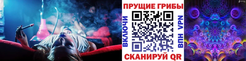 наркота  Тейково  Галлюциногенные грибы Cubensis 