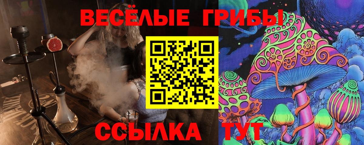 Псилоцибиновые грибы MAGIC MUSHROOMS Тейково